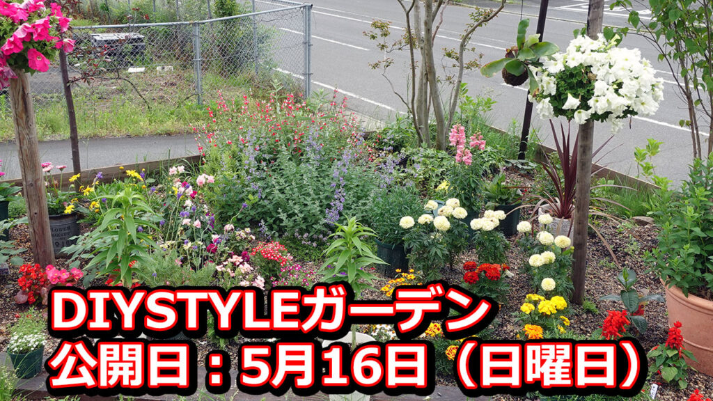 DIYSTYLEガーデン5月16日